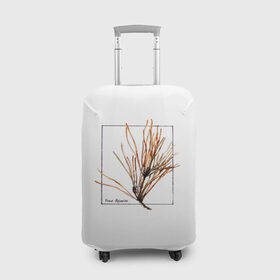 Чехол для чемодана 3D с принтом Pinus Sylvestris в Белгороде, 86% полиэфир, 14% спандекс | двустороннее нанесение принта, прорези для ручек и колес | абстракция | авторская работа | ботаническая иллюстрация | деревья | иллюстрации | минимализм | сосна | цветы