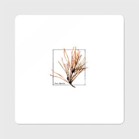 Магнит виниловый Квадрат с принтом Pinus Sylvestris в Белгороде, полимерный материал с магнитным слоем | размер 9*9 см, закругленные углы | абстракция | авторская работа | ботаническая иллюстрация | деревья | иллюстрации | минимализм | сосна | цветы