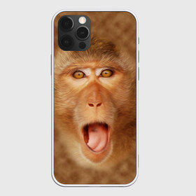 Чехол для iPhone 12 Pro Max с принтом Обезьяна в Белгороде, Силикон |  | Тематика изображения на принте: голова | животные | мартышка | мордочка | обезьяна | открытый | прикол | природа | рот | юмор