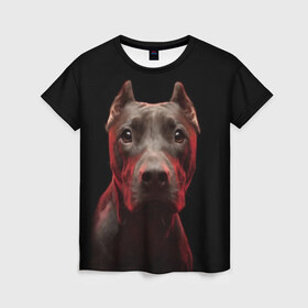 Женская футболка 3D с принтом Стафф в Белгороде, 100% полиэфир ( синтетическое хлопкоподобное полотно) | прямой крой, круглый вырез горловины, длина до линии бедер | амстафф | голова | животные | мордочка | природа | собака | стафф | стаффордширский терьер