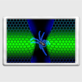 Магнит 45*70 с принтом Паук на ночной охоте в Белгороде, Пластик | Размер: 78*52 мм; Размер печати: 70*45 | зеленая броня | зеленый неон | классный дизайн | ночь | паук | паук дизайн | паук на охоте | паук охотник | пчелиные | соты | темная футболка | футболка с пауком | черные соты