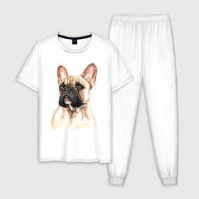 Мужская пижама хлопок с принтом Французский бульдог в Белгороде, 100% хлопок | брюки и футболка прямого кроя, без карманов, на брюках мягкая резинка на поясе и по низу штанин
 | bulldog | dog | бульдог | собака | собаки | французский бульдог