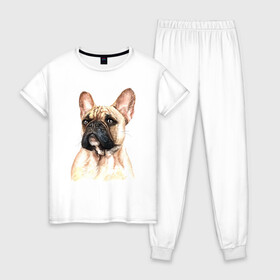 Женская пижама хлопок с принтом Французский бульдог в Белгороде, 100% хлопок | брюки и футболка прямого кроя, без карманов, на брюках мягкая резинка на поясе и по низу штанин | bulldog | dog | бульдог | собака | собаки | французский бульдог