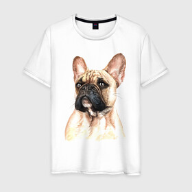 Мужская футболка хлопок с принтом Французский бульдог в Белгороде, 100% хлопок | прямой крой, круглый вырез горловины, длина до линии бедер, слегка спущенное плечо. | bulldog | dog | бульдог | собака | собаки | французский бульдог