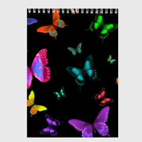 Скетчбук с принтом Ночные Бабочки в Белгороде, 100% бумага
 | 48 листов, плотность листов — 100 г/м2, плотность картонной обложки — 250 г/м2. Листы скреплены сверху удобной пружинной спиралью | butterfly | бабочка | бабочки | биология | животные | краски | крылья | насекомые | ночь | разноцветные | черный | яркие