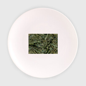 Тарелка с принтом Лесной камуфляж в Белгороде, фарфор | диаметр - 210 мм
диаметр для нанесения принта - 120 мм | Тематика изображения на принте: камуфляж | лесной камуфляж