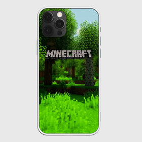 Чехол для iPhone 12 Pro Max с принтом MINECRAFT в Белгороде, Силикон |  | Тематика изображения на принте: blade | blocks | creeper | cubes | game | ken | mine craft | minecraft | mobs | sword | игры | крипер | майн крафт | майнкрафт | моб