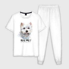 Мужская пижама хлопок с принтом Вест-хайленд-уайт-терьер в Белгороде, 100% хлопок | брюки и футболка прямого кроя, без карманов, на брюках мягкая резинка на поясе и по низу штанин
 | Тематика изображения на принте: dog | highland | terrier | west | white | вест | собака | собаки | терьер | уайт | хайленд