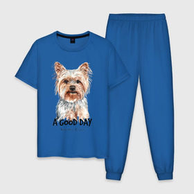 Мужская пижама хлопок с принтом Йоркширский терьер в Белгороде, 100% хлопок | брюки и футболка прямого кроя, без карманов, на брюках мягкая резинка на поясе и по низу штанин
 | yorkshire terrier | йорк | йорки | йоркширский | йоркширский терьер | собака | собаки | терьер