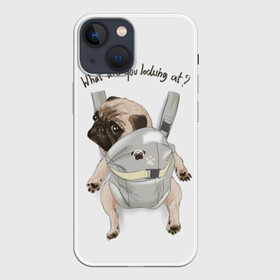 Чехол для iPhone 13 mini с принтом Мопс в рюкзаке в Белгороде,  |  | background | backpack | breed | brown | color | cute | dog | funny | gray | look | muzzle | paws | pug | puppy | slogan | small | trace | white | белый | взгляд | коричневый | лапы | маленький | милый | мопс | пес | порода | прикольный | рюкзак | 