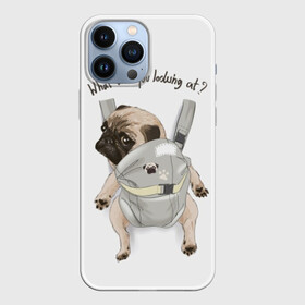 Чехол для iPhone 13 Pro Max с принтом Мопс в рюкзаке в Белгороде,  |  | background | backpack | breed | brown | color | cute | dog | funny | gray | look | muzzle | paws | pug | puppy | slogan | small | trace | white | белый | взгляд | коричневый | лапы | маленький | милый | мопс | пес | порода | прикольный | рюкзак | 