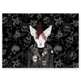 Поздравительная открытка с принтом Кот в косухе в Белгороде, 100% бумага | плотность бумаги 280 г/м2, матовая, на обратной стороне линовка и место для марки
 | anarchy | breed | cat | clothes | cool | hairstyle | icon | jacket | kote | mohawk | muzzle | piercing | punk | riveting | rock | skull | sphinx | spikes | tattoo | анархия | значок | ирокез | к | клепки | кот | котик | котэ | круто | куртка | оде