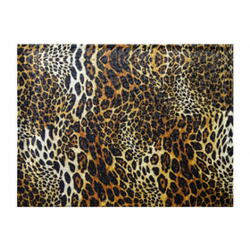 Обложка для студенческого билета с принтом Шкура леопарда в Белгороде, натуральная кожа | Размер: 11*8 см; Печать на всей внешней стороне | animal | cheeky | dangerous | leopard | nature | pattern | predator | skin | spots | wild | дерзкий | дикий | животное | леопард | опасный | природа | пятна | узор | хищник
