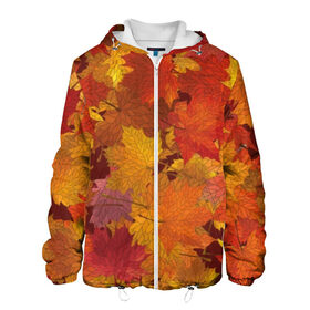 Мужская куртка 3D с принтом Осенние листья в Белгороде, ткань верха — 100% полиэстер, подклад — флис | прямой крой, подол и капюшон оформлены резинкой с фиксаторами, два кармана без застежек по бокам, один большой потайной карман на груди. Карман на груди застегивается на липучку | autumn | bright | flora | leaves | maple | nature | orange | plant | red | season | yellow | время года | желтый | клен | красный | листья | оранжевый | осень | природа | растение | сезон | флора | ярко