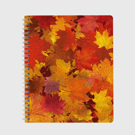 Тетрадь с принтом Осенние листья в Белгороде, 100% бумага | 48 листов, плотность листов — 60 г/м2, плотность картонной обложки — 250 г/м2. Листы скреплены сбоку удобной пружинной спиралью. Уголки страниц и обложки скругленные. Цвет линий — светло-серый
 | autumn | bright | flora | leaves | maple | nature | orange | plant | red | season | yellow | время года | желтый | клен | красный | листья | оранжевый | осень | природа | растение | сезон | флора | ярко