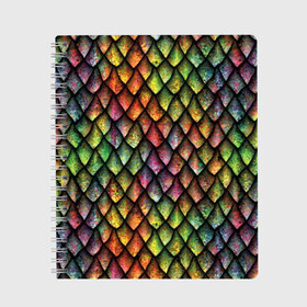Тетрадь с принтом Чешуя дракона в Белгороде, 100% бумага | 48 листов, плотность листов — 60 г/м2, плотность картонной обложки — 250 г/м2. Листы скреплены сбоку удобной пружинной спиралью. Уголки страниц и обложки скругленные. Цвет линий — светло-серый
 | Тематика изображения на принте: blue | bright | colorful | cool | dragon | green | iridescent | orange | pink | purple | rainbow | red | skin | snake | брызги | волшебный | дракон | зеленый | змея | кожа | красный | красочный | оранжевый | прикольный | радуга | радужный