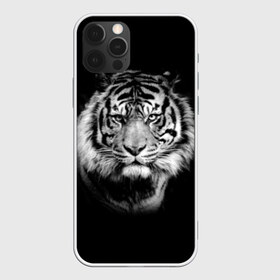 Чехол для iPhone 12 Pro Max с принтом Тигр в Белгороде, Силикон |  | animal | beautiful | black | cool | fangs | fauna | mustache | muzzle | nature | photo | predator | striped | tiger | view | white | wild | wool | белый | взгляд | дикий | животное | клыки | красивый | круто | полосатый | природа | тигр | усы | фа