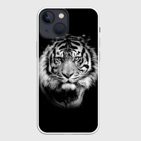 Чехол для iPhone 13 mini с принтом Тигр в Белгороде,  |  | animal | beautiful | black | cool | fangs | fauna | mustache | muzzle | nature | photo | predator | striped | tiger | view | white | wild | wool | белый | взгляд | дикий | животное | клыки | красивый | круто | полосатый | природа | тигр | усы | фа