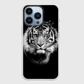 Чехол для iPhone 13 Pro с принтом Тигр в Белгороде,  |  | animal | beautiful | black | cool | fangs | fauna | mustache | muzzle | nature | photo | predator | striped | tiger | view | white | wild | wool | белый | взгляд | дикий | животное | клыки | красивый | круто | полосатый | природа | тигр | усы | фа