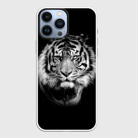 Чехол для iPhone 13 Pro Max с принтом Тигр в Белгороде,  |  | animal | beautiful | black | cool | fangs | fauna | mustache | muzzle | nature | photo | predator | striped | tiger | view | white | wild | wool | белый | взгляд | дикий | животное | клыки | красивый | круто | полосатый | природа | тигр | усы | фа