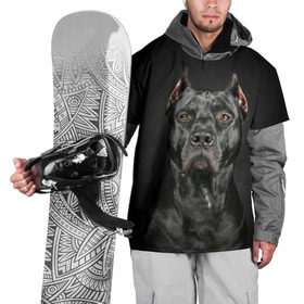 Накидка на куртку 3D с принтом Питбуль в Белгороде, 100% полиэстер |  | animal | black | breed | bull | combat | dog | ears | eyes | image | muzzle | nose | pit bull | portrait | боевой | бугай | глаза | животное | изображение | нос | пес | питбуль | порода | портрет | псина | собака | уши | черный