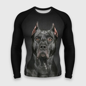 Мужской рашгард 3D с принтом Питбуль в Белгороде,  |  | animal | black | breed | bull | combat | dog | ears | eyes | image | muzzle | nose | pit bull | portrait | боевой | бугай | глаза | животное | изображение | нос | пес | питбуль | порода | портрет | псина | собака | уши | черный