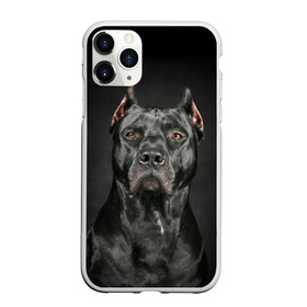 Чехол для iPhone 11 Pro матовый с принтом Питбуль в Белгороде, Силикон |  | animal | black | breed | bull | combat | dog | ears | eyes | image | muzzle | nose | pit bull | portrait | боевой | бугай | глаза | животное | изображение | нос | пес | питбуль | порода | портрет | псина | собака | уши | черный