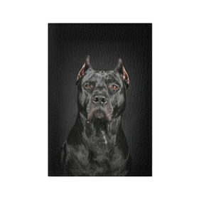 Обложка для паспорта матовая кожа с принтом Питбуль в Белгороде, натуральная матовая кожа | размер 19,3 х 13,7 см; прозрачные пластиковые крепления | animal | black | breed | bull | combat | dog | ears | eyes | image | muzzle | nose | pit bull | portrait | боевой | бугай | глаза | животное | изображение | нос | пес | питбуль | порода | портрет | псина | собака | уши | черный