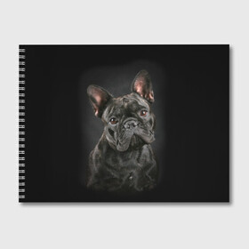Альбом для рисования с принтом Французский бульдог в Белгороде, 100% бумага
 | матовая бумага, плотность 200 мг. | Тематика изображения на принте: animal | background | beast | black | breed | bulldog | cool | cute | dog | ears | french | jaw | look | muzzle | portrait | wool | бульдог | взгляд | животное | зверь | милый | пёс | порода | портрет | прикольно | псина | собака | уши | фон | фра