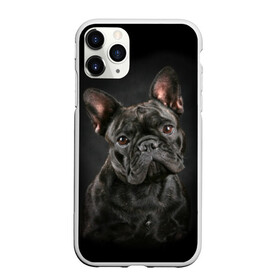 Чехол для iPhone 11 Pro матовый с принтом Французский бульдог в Белгороде, Силикон |  | animal | background | beast | black | breed | bulldog | cool | cute | dog | ears | french | jaw | look | muzzle | portrait | wool | бульдог | взгляд | животное | зверь | милый | пёс | порода | портрет | прикольно | псина | собака | уши | фон | фра