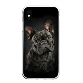 Чехол для iPhone XS Max матовый с принтом Французский бульдог в Белгороде, Силикон | Область печати: задняя сторона чехла, без боковых панелей | animal | background | beast | black | breed | bulldog | cool | cute | dog | ears | french | jaw | look | muzzle | portrait | wool | бульдог | взгляд | животное | зверь | милый | пёс | порода | портрет | прикольно | псина | собака | уши | фон | фра