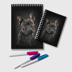 Блокнот с принтом Французский бульдог в Белгороде, 100% бумага | 48 листов, плотность листов — 60 г/м2, плотность картонной обложки — 250 г/м2. Листы скреплены удобной пружинной спиралью. Цвет линий — светло-серый
 | Тематика изображения на принте: animal | background | beast | black | breed | bulldog | cool | cute | dog | ears | french | jaw | look | muzzle | portrait | wool | бульдог | взгляд | животное | зверь | милый | пёс | порода | портрет | прикольно | псина | собака | уши | фон | фра