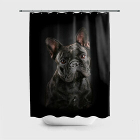Штора 3D для ванной с принтом Французский бульдог в Белгороде, 100% полиэстер | плотность материала — 100 г/м2. Стандартный размер — 146 см х 180 см. По верхнему краю — пластиковые люверсы для креплений. В комплекте 10 пластиковых колец | animal | background | beast | black | breed | bulldog | cool | cute | dog | ears | french | jaw | look | muzzle | portrait | wool | бульдог | взгляд | животное | зверь | милый | пёс | порода | портрет | прикольно | псина | собака | уши | фон | фра