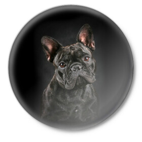 Значок с принтом Французский бульдог в Белгороде,  металл | круглая форма, металлическая застежка в виде булавки | Тематика изображения на принте: animal | background | beast | black | breed | bulldog | cool | cute | dog | ears | french | jaw | look | muzzle | portrait | wool | бульдог | взгляд | животное | зверь | милый | пёс | порода | портрет | прикольно | псина | собака | уши | фон | фра
