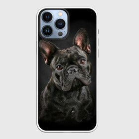 Чехол для iPhone 13 Pro Max с принтом Французский бульдог в Белгороде,  |  | Тематика изображения на принте: animal | background | beast | black | breed | bulldog | cool | cute | dog | ears | french | jaw | look | muzzle | portrait | wool | бульдог | взгляд | животное | зверь | милый | пёс | порода | портрет | прикольно | псина | собака | уши | фон | фра