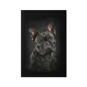 Обложка для паспорта матовая кожа с принтом Французский бульдог в Белгороде, натуральная матовая кожа | размер 19,3 х 13,7 см; прозрачные пластиковые крепления | Тематика изображения на принте: animal | background | beast | black | breed | bulldog | cool | cute | dog | ears | french | jaw | look | muzzle | portrait | wool | бульдог | взгляд | животное | зверь | милый | пёс | порода | портрет | прикольно | псина | собака | уши | фон | фра