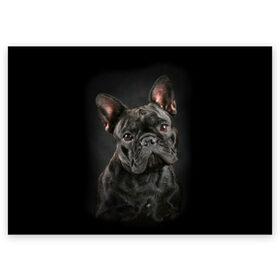 Поздравительная открытка с принтом Французский бульдог в Белгороде, 100% бумага | плотность бумаги 280 г/м2, матовая, на обратной стороне линовка и место для марки
 | Тематика изображения на принте: animal | background | beast | black | breed | bulldog | cool | cute | dog | ears | french | jaw | look | muzzle | portrait | wool | бульдог | взгляд | животное | зверь | милый | пёс | порода | портрет | прикольно | псина | собака | уши | фон | фра