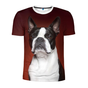 Мужская футболка 3D спортивная с принтом Французский бульдог в Белгороде, 100% полиэстер с улучшенными характеристиками | приталенный силуэт, круглая горловина, широкие плечи, сужается к линии бедра | animal | background | beast | black | breed | bulldog | color | cool | cute | dog | e | jaw | look | muzzle | portrait | red | white | белый | бульдог | взгляд | животное | зверь | красный | милый | пёс | порода | портрет | прикольно | псина | соб