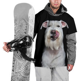 Накидка на куртку 3D с принтом Белый шнауцер в Белгороде, 100% полиэстер |  | animal | background | beast | black | breed | cool | cute | dog | ears | fangs | jaw | look | muzzle | portrait | tongue | white | wool | белый | взгляд | животное | зверь | клыки | милый | пёс | порода | портрет | прикольно | псина | собака | уши