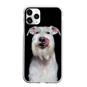 Чехол для iPhone 11 Pro матовый с принтом Белый шнауцер в Белгороде, Силикон |  | animal | background | beast | black | breed | cool | cute | dog | ears | fangs | jaw | look | muzzle | portrait | tongue | white | wool | белый | взгляд | животное | зверь | клыки | милый | пёс | порода | портрет | прикольно | псина | собака | уши