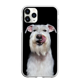 Чехол для iPhone 11 Pro Max матовый с принтом Белый шнауцер в Белгороде, Силикон |  | animal | background | beast | black | breed | cool | cute | dog | ears | fangs | jaw | look | muzzle | portrait | tongue | white | wool | белый | взгляд | животное | зверь | клыки | милый | пёс | порода | портрет | прикольно | псина | собака | уши
