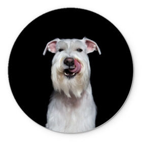 Коврик для мышки круглый с принтом Белый шнауцер в Белгороде, резина и полиэстер | круглая форма, изображение наносится на всю лицевую часть | animal | background | beast | black | breed | cool | cute | dog | ears | fangs | jaw | look | muzzle | portrait | tongue | white | wool | белый | взгляд | животное | зверь | клыки | милый | пёс | порода | портрет | прикольно | псина | собака | уши