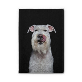 Обложка для автодокументов с принтом Белый шнауцер в Белгороде, натуральная кожа |  размер 19,9*13 см; внутри 4 больших “конверта” для документов и один маленький отдел — туда идеально встанут права | Тематика изображения на принте: animal | background | beast | black | breed | cool | cute | dog | ears | fangs | jaw | look | muzzle | portrait | tongue | white | wool | белый | взгляд | животное | зверь | клыки | милый | пёс | порода | портрет | прикольно | псина | собака | уши