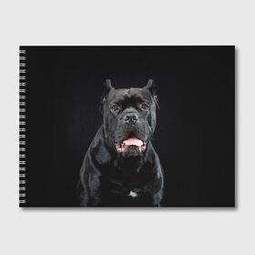 Альбом для рисования с принтом Черный кан - корсо в Белгороде, 100% бумага
 | матовая бумага, плотность 200 мг. | animal | background | beast | black | breed | can   corso | cool | cute | dog | ears | fangs | jaw | look | muzzle | portrait | tongue | wool | взгляд | животное | зверь | кан   корсо | клыки | милый | пёс | порода | портрет | прикольно | псина | 