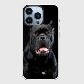 Чехол для iPhone 13 Pro с принтом Черный кан   корсо в Белгороде,  |  | Тематика изображения на принте: animal | background | beast | black | breed | can   corso | cool | cute | dog | ears | fangs | jaw | look | muzzle | portrait | tongue | wool | взгляд | животное | зверь | кан   корсо | клыки | милый | пёс | порода | портрет | прикольно | псина | 