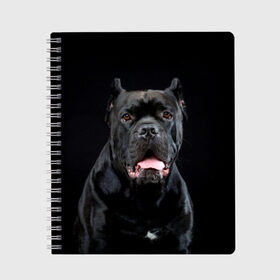 Тетрадь с принтом Черный кан - корсо в Белгороде, 100% бумага | 48 листов, плотность листов — 60 г/м2, плотность картонной обложки — 250 г/м2. Листы скреплены сбоку удобной пружинной спиралью. Уголки страниц и обложки скругленные. Цвет линий — светло-серый
 | animal | background | beast | black | breed | can   corso | cool | cute | dog | ears | fangs | jaw | look | muzzle | portrait | tongue | wool | взгляд | животное | зверь | кан   корсо | клыки | милый | пёс | порода | портрет | прикольно | псина | 