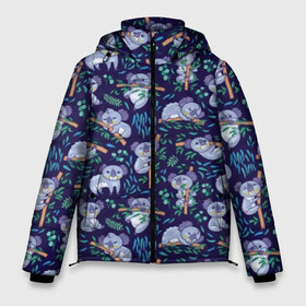 Мужская зимняя куртка 3D с принтом Фиолетовые коалы в Белгороде, верх — 100% полиэстер; подкладка — 100% полиэстер; утеплитель — 100% полиэстер | длина ниже бедра, свободный силуэт Оверсайз. Есть воротник-стойка, отстегивающийся капюшон и ветрозащитная планка. 

Боковые карманы с листочкой на кнопках и внутренний карман на молнии. | animal | australia | baby | bear | blue | color | cute | exotic | green | illustration | koala | pattern | purple | vector | young | австралия | вектор | ветка | детеныш | животное | зеленый | иллюстрация | коала | листья | малыш | медведь | мил