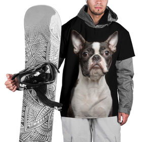 Накидка на куртку 3D с принтом Бостонский терьер в Белгороде, 100% полиэстер |  | Тематика изображения на принте: animal | background | beast | black | boston | breed | color | cool | cute | dog | ears | jaw | look | muzzle | pet | portrait | terrier | white | wool | белый | бостон | взгляд | животное | зверь | милый | пёс | питомец | порода | портрет | прико