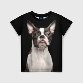 Детская футболка 3D с принтом Бостонский терьер в Белгороде, 100% гипоаллергенный полиэфир | прямой крой, круглый вырез горловины, длина до линии бедер, чуть спущенное плечо, ткань немного тянется | animal | background | beast | black | boston | breed | color | cool | cute | dog | ears | jaw | look | muzzle | pet | portrait | terrier | white | wool | белый | бостон | взгляд | животное | зверь | милый | пёс | питомец | порода | портрет | прико