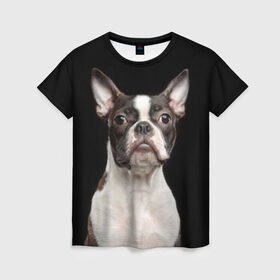 Женская футболка 3D с принтом Бостонский терьер в Белгороде, 100% полиэфир ( синтетическое хлопкоподобное полотно) | прямой крой, круглый вырез горловины, длина до линии бедер | animal | background | beast | black | boston | breed | color | cool | cute | dog | ears | jaw | look | muzzle | pet | portrait | terrier | white | wool | белый | бостон | взгляд | животное | зверь | милый | пёс | питомец | порода | портрет | прико